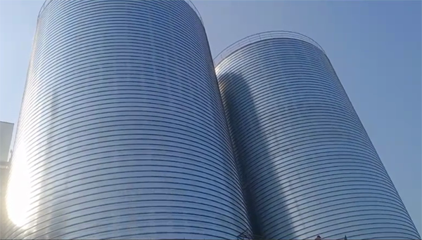 武胜2座混凝土高架卷板仓